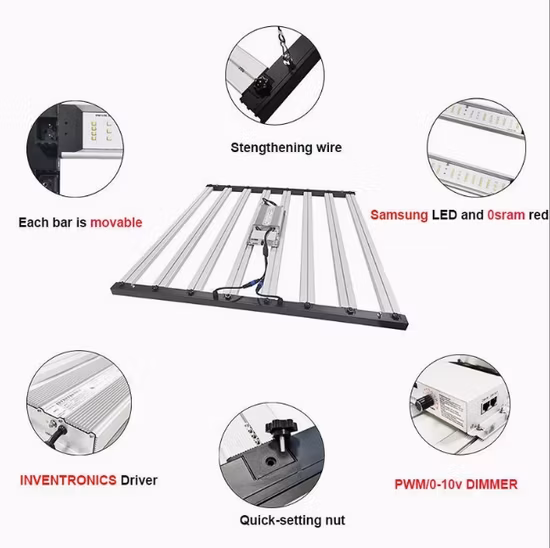 Luces de cultivo LED de energía solar de 500 W con chip Samsung UV e IR